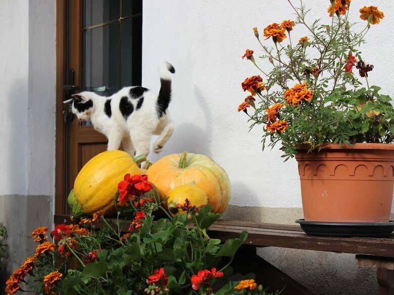 Quaint Holiday Home In Schenkend�bern On A Farm