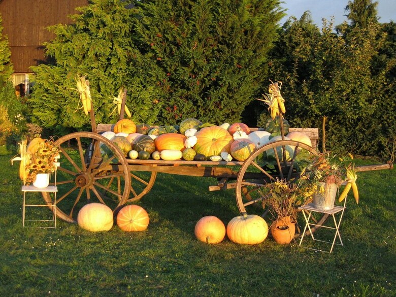 Quaint Holiday Home In Schenkend�bern On A Farm