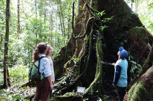 Albergue Hostal Tena �aui