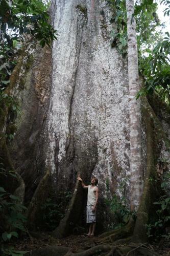 Albergue Hostal Tena �aui