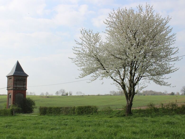 Delightful Holiday Home In Voeren Near Forest