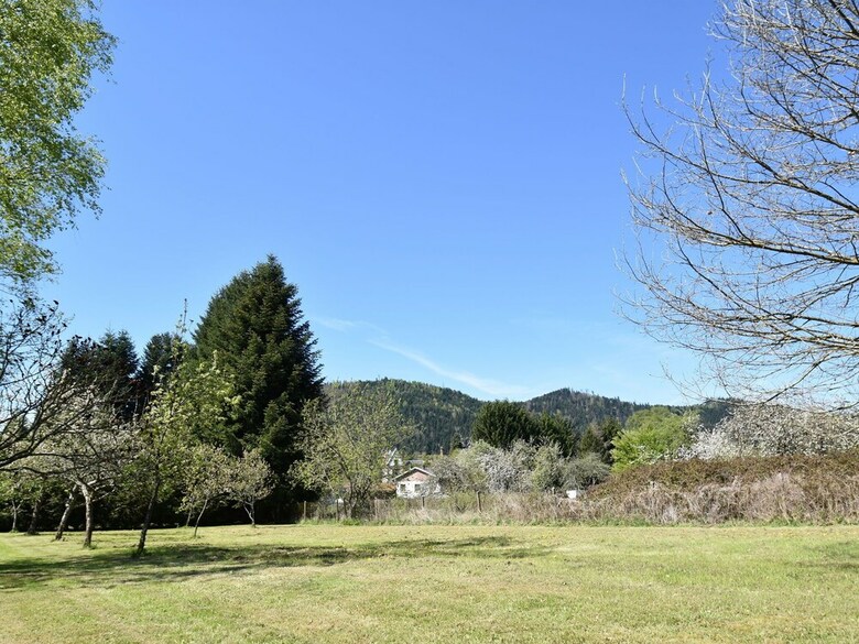 Spacious Holiday Home With Sauna In Celles-sur-plaine