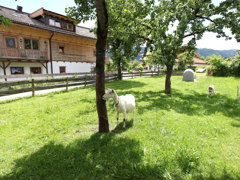 Modern Apartment In Itter Near Forest