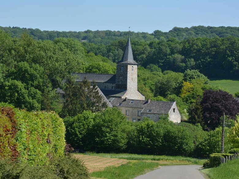 Luxury Pet-friendly Chalet In Bi�vre Near Forest