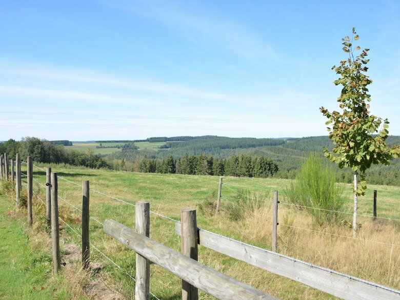 Luxury Pet-friendly Chalet In Bi�vre Near Forest