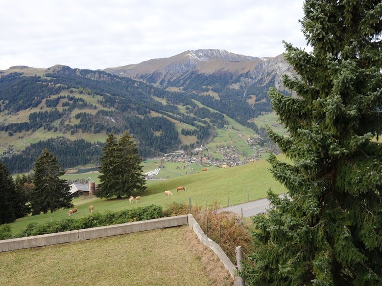 Stunning Apartment In Lenk Im Simmental With Terrace