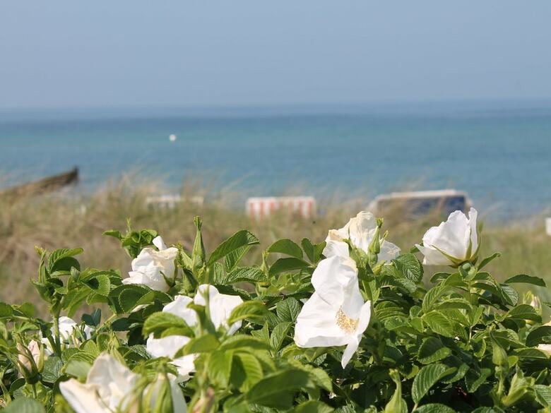 Cosy Apartment In Insel Poel With Fireplace