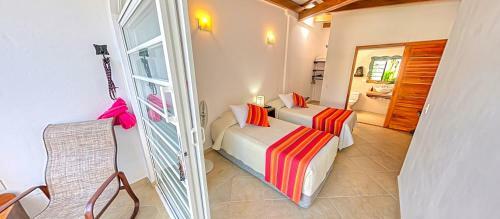 Galapagos Suites Bed & Breakfast