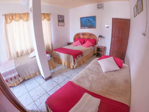 Apartamentos Suites Tintorera
