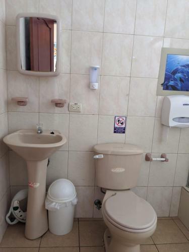 Apartamentos Suites Tintorera