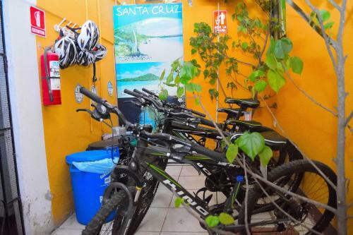 Apartamentos Suites Tintorera