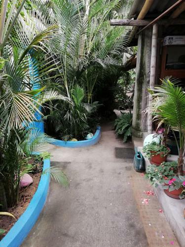 Albergue Hostal Oloncito