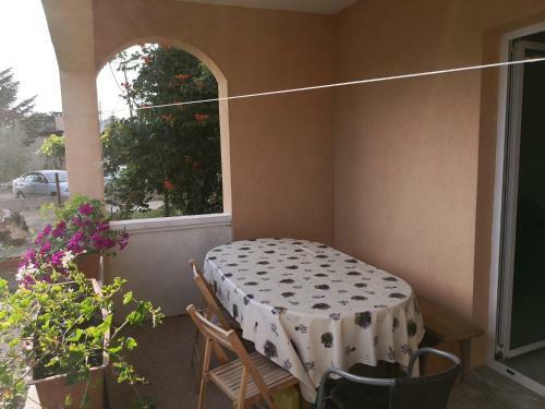 Apartments Mladenka 20m From Marina!