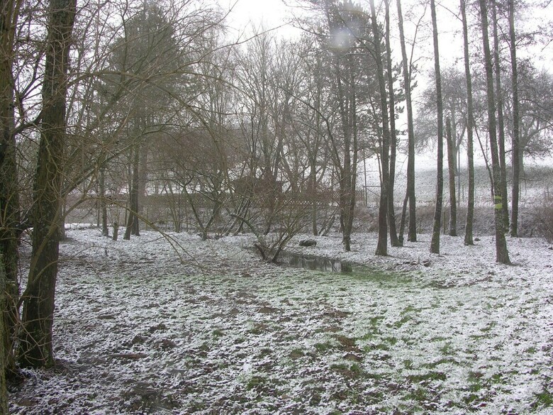 Gorgeous Holiday Home In Bodenbach Eifel With Garden