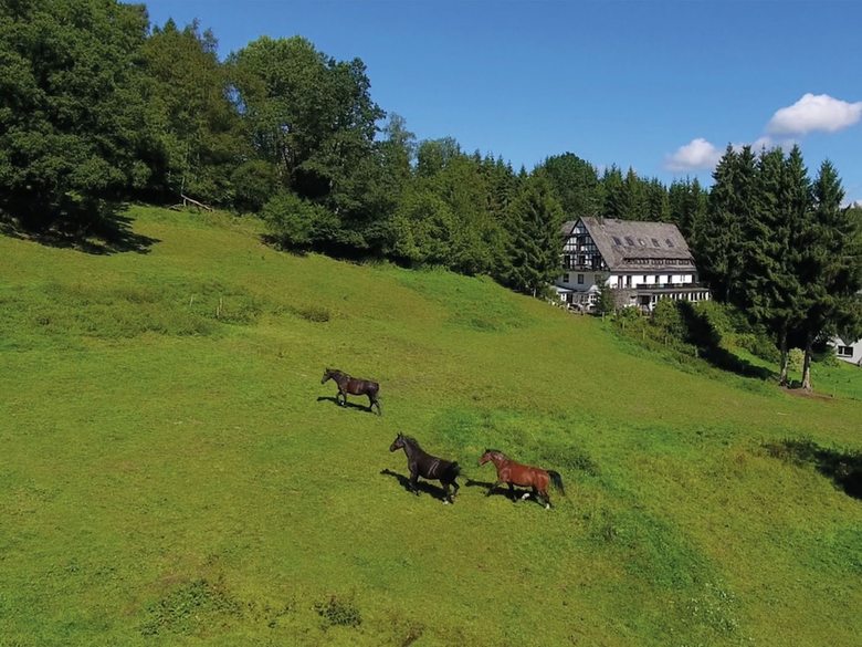 Exclusive Group House In Winterberg With Common Room, Bar And Large Kitchen