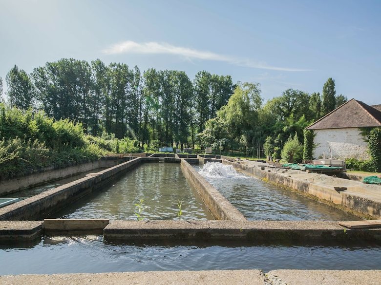 Peaceful Holiday Home Saint-martin-le-redon With Pool