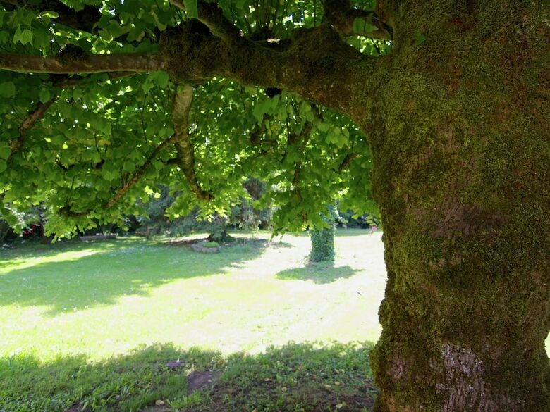 Charming Cottage In Ladignac-le-long With Garden