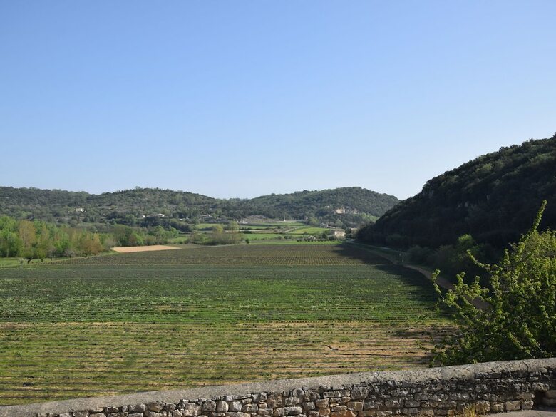 Charming Holiday Home In Montclus With Terrace