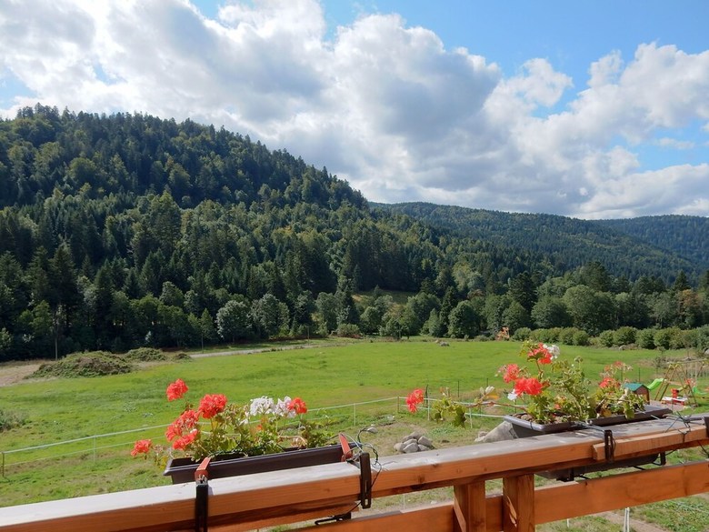 Sunlit Chalet Near Ski Area In G�rardmer