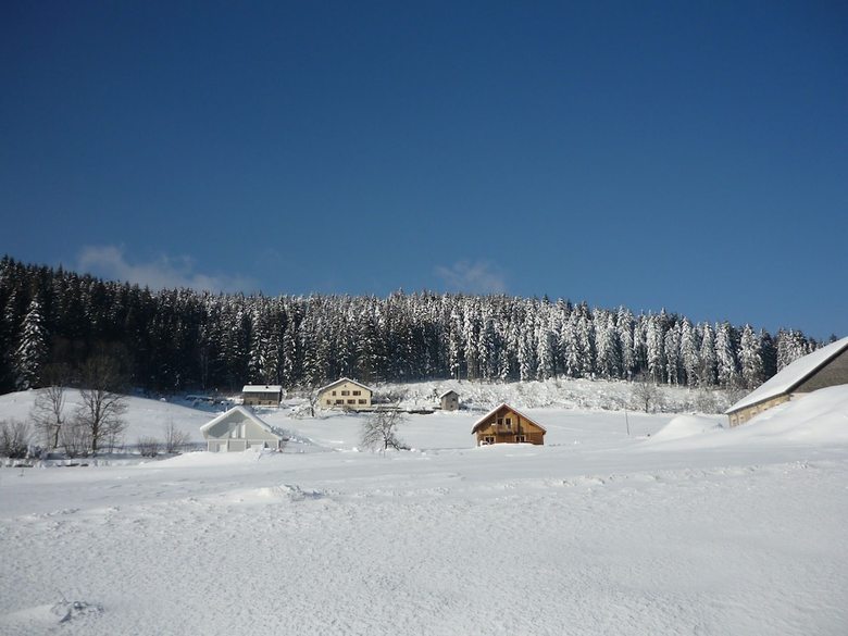Sunlit Chalet Near Ski Area In G�rardmer