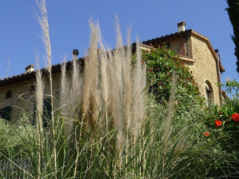 Well Kept Property With Garden With Lovely Panorama