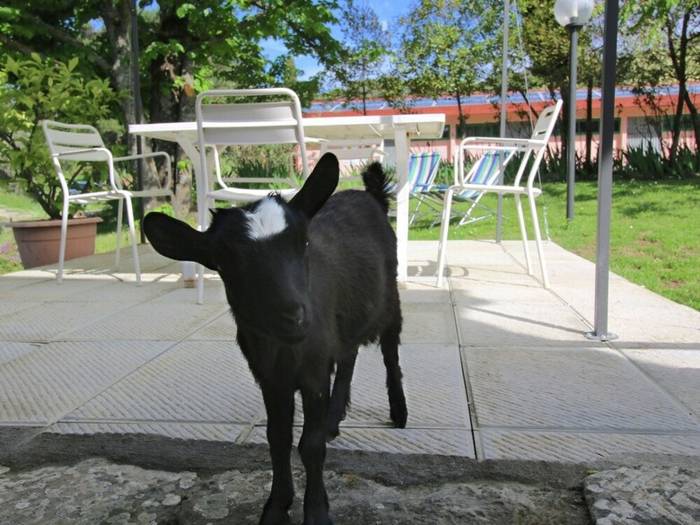 Agroturismo Rural Agritourismo With Panoramic Swimming Pool