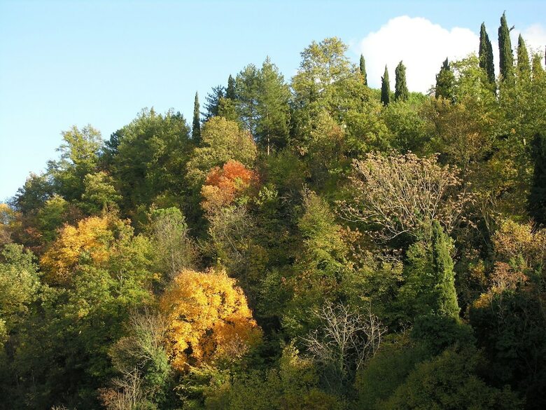 Agroturismo Rural Agritourismo With Panoramic Swimming Pool
