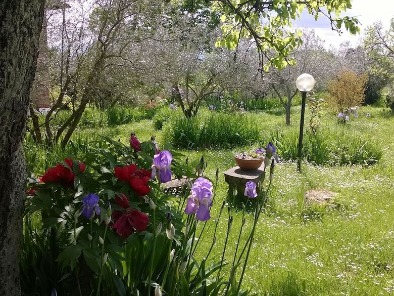 Agroturismo Rural Agritourismo With Panoramic Swimming Pool