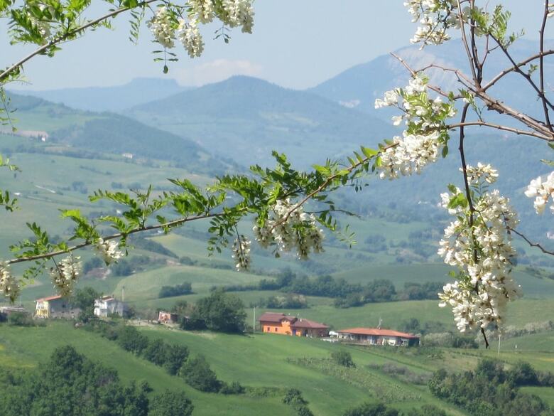 Beautiful Villa With Private Swimming Pool, Garden And Panoramic View 10+5
