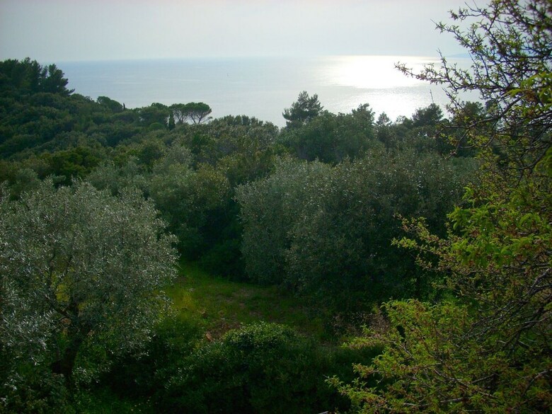 Comfy Holiday Home In Monte Argentario With Garden