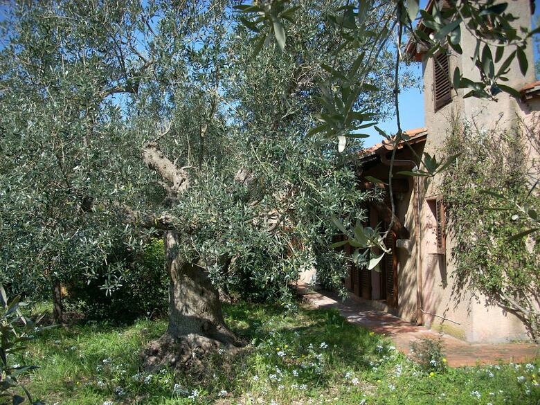 Comfy Holiday Home In Monte Argentario With Garden