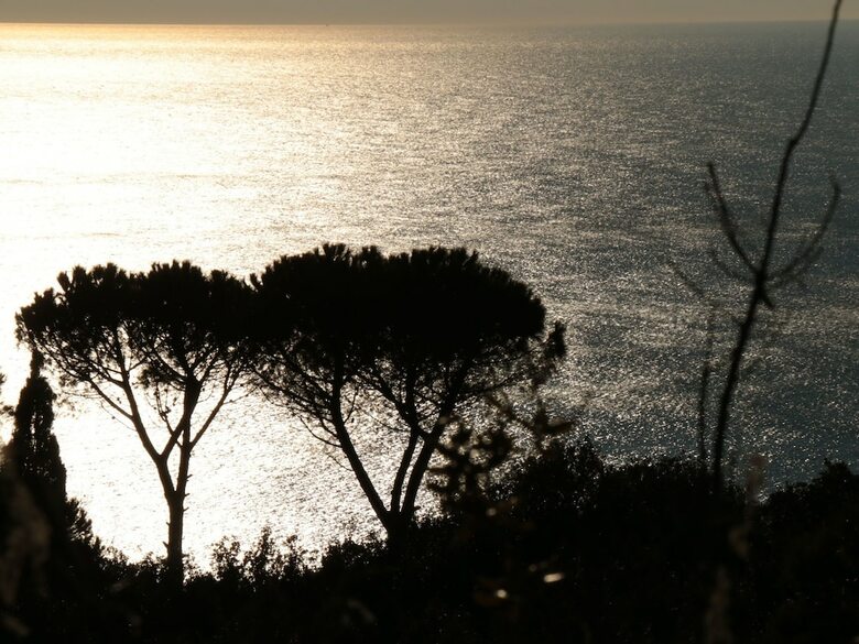 Comfy Holiday Home In Monte Argentario With Garden