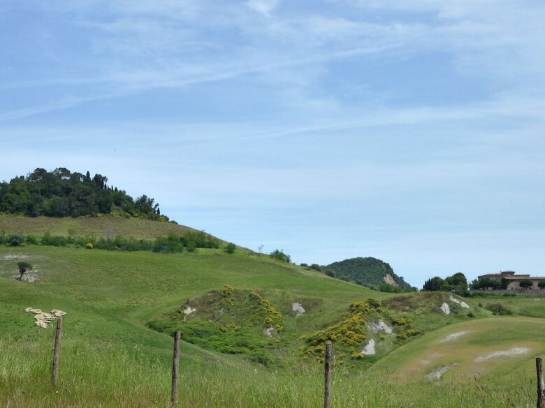 Organic Farmhouse Complex With Swimming Pool And Splendid Views