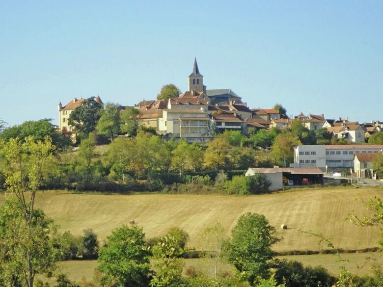 Cosy Holiday Home In Parisot With Swimming Pool