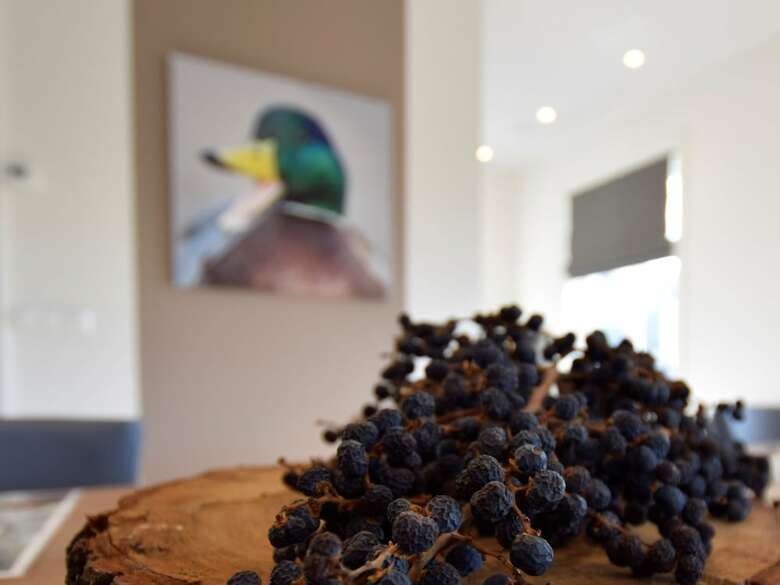 Luxurious Villa With Private Garden In Kaag