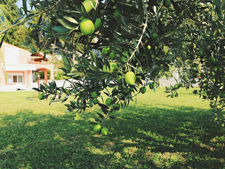 Beautiful Villa In Peracko Blato With Private Pool