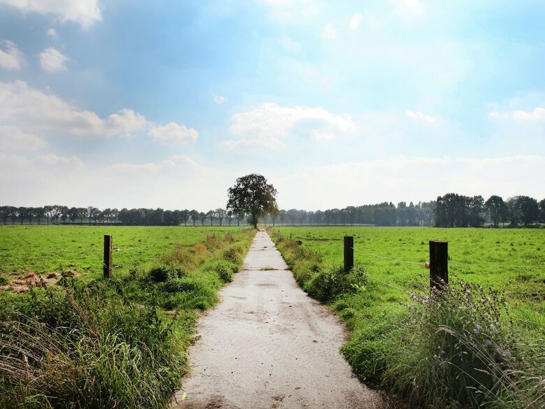 Decorative Holiday Home In Vorstenbosch On Alpaca Farm