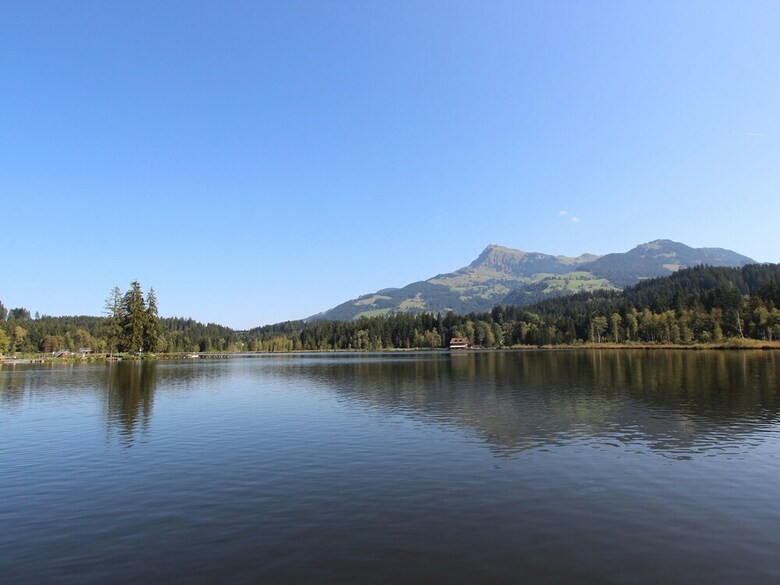 Luxurious Holiday Home In Kirchberg With Garden