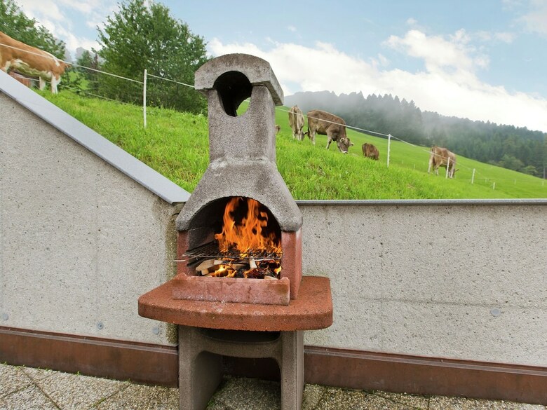 Alluring Apartment In Kolsassberg With Private Garden