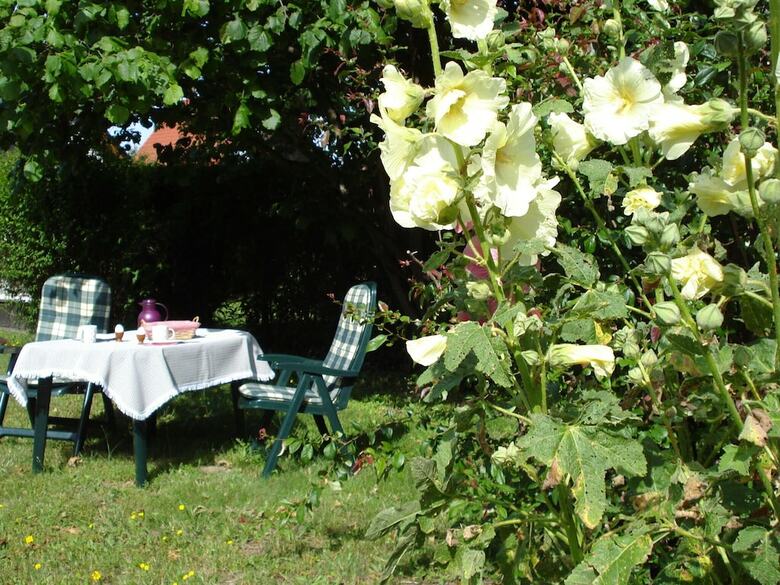 Sunny Apartment In K�hlungsborn Near Seabeach