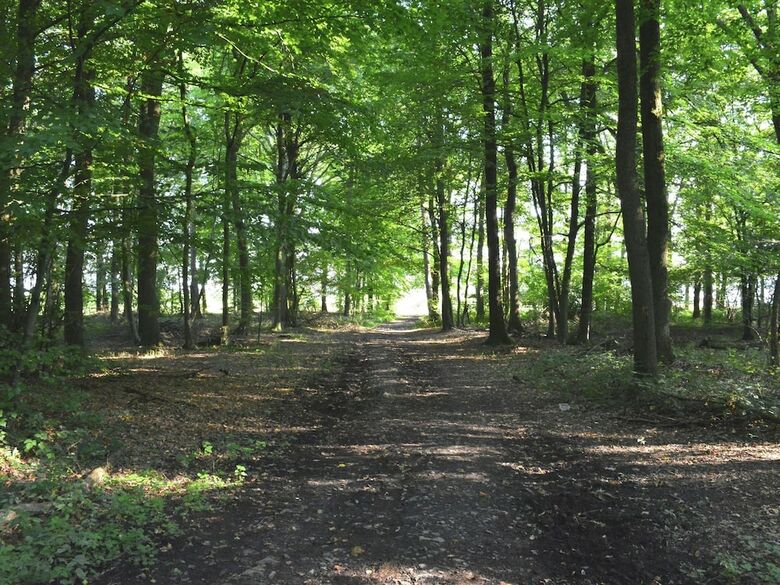 Unusual Chalet In The Woods, Very Comfortable, Nice Covered Terrace, Quiet
