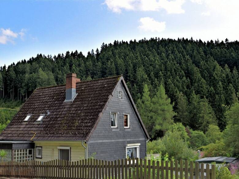 Pleasant Apartment In Wildemann Amid Forest