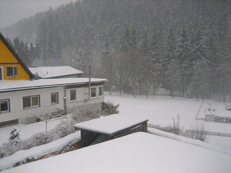 Pleasant Apartment In Wildemann Amid Forest