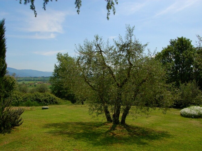 Spacious Cottage With Pool In Arezzo Italy