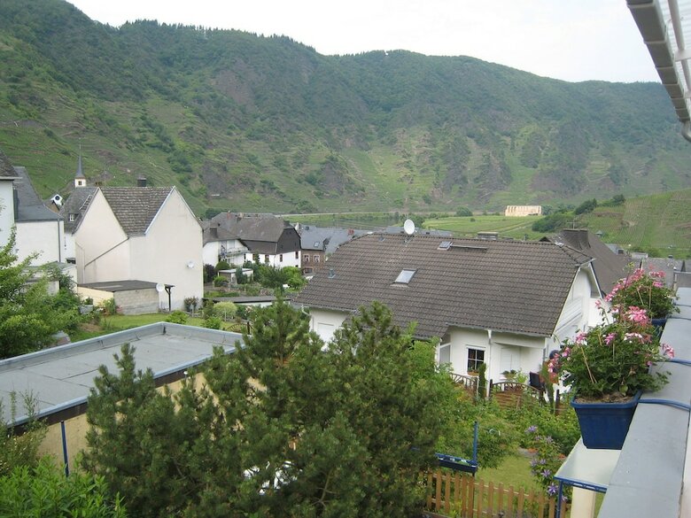 Comfortable Holiday Home Near Vineyards In Bremm