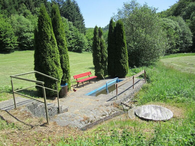 Large Holiday Home In Battenhausen With Garden