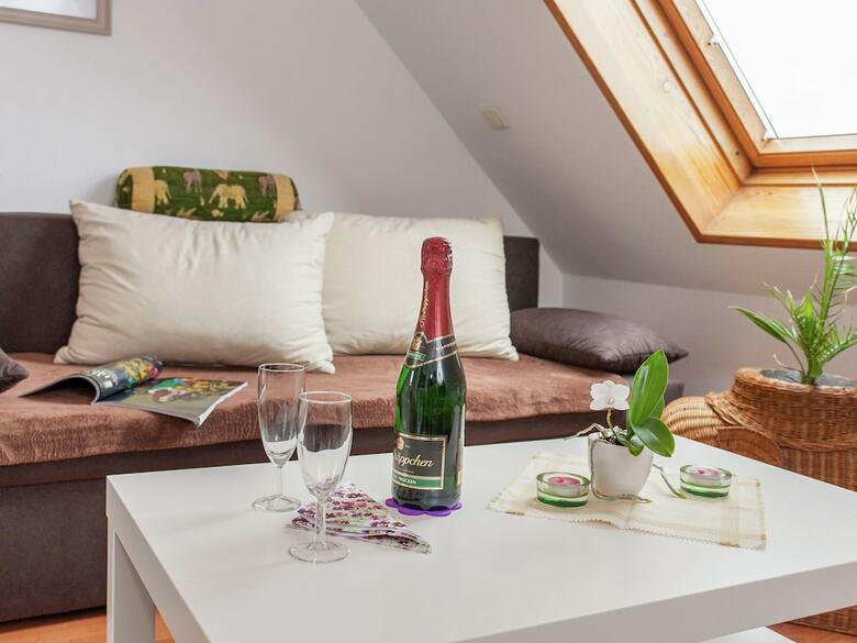 Apartment In Ilmenau With Garden, Terrace, Bbq, Deckchairs