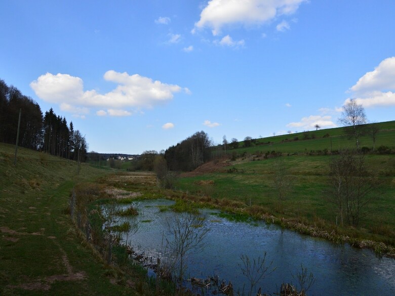 Comfortable Apartment In Meisburg Eifel Near Watermill