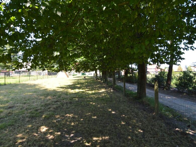 Spacious Holiday Home Near Forest In Peer