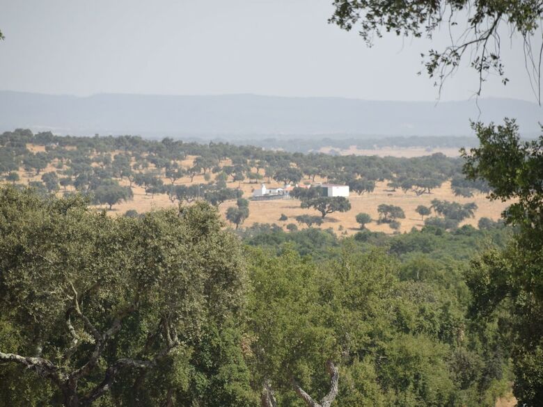 Villa A Comfortable Holiday Home With Private Swimming Pool, Tranquility And Privacy